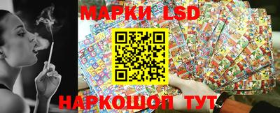 индика Камышлов
