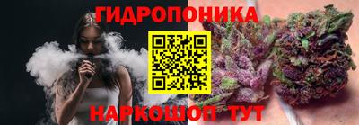 стаф Кимры