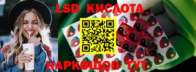 spice Кандалакша