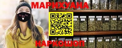 индика Камышлов