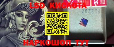 индика Камышлов