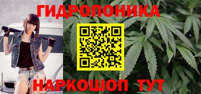 jwh Кинель