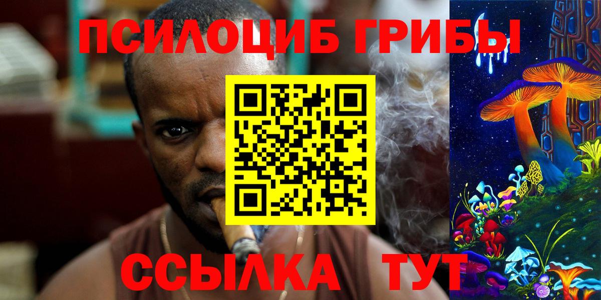 Галлюциногенные грибы Psilocybe  Вход с VPN  Краснокаменск  Галлюциногенные грибы прущие грибы 
